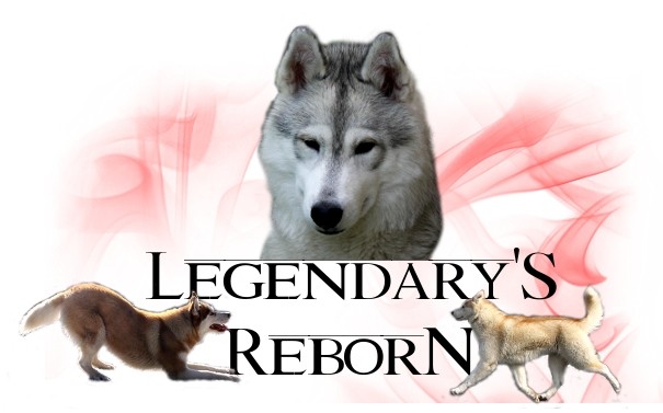 Of Legendary's Reborn