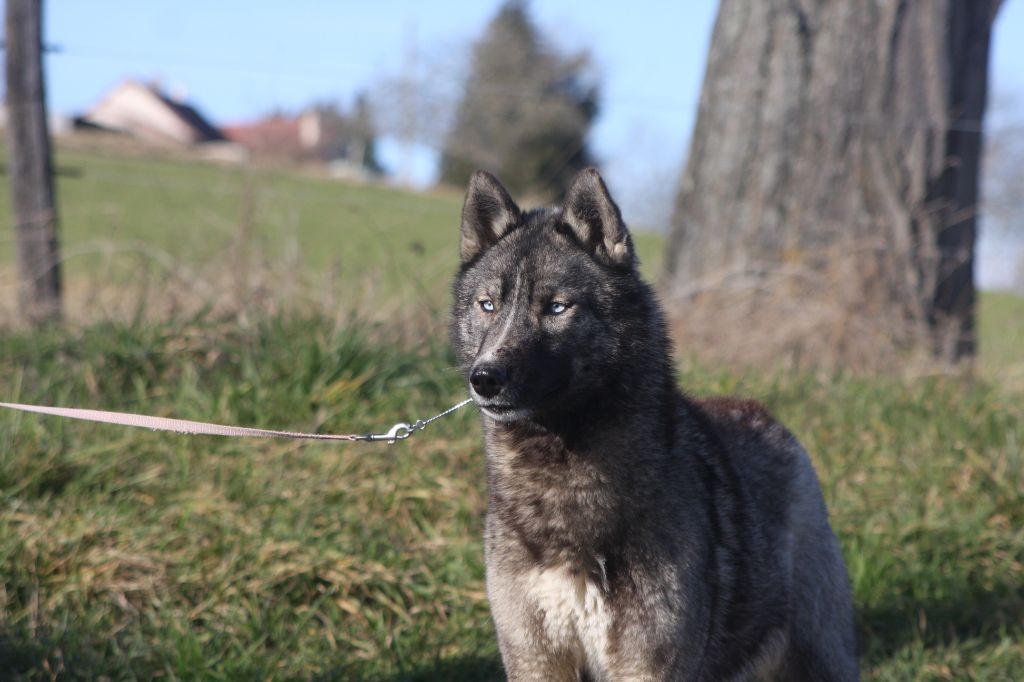 Sexy and i know it *sakura* Of Legendary's Reborn