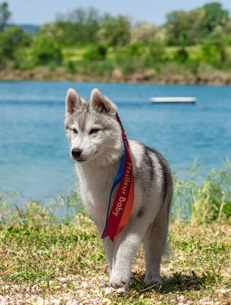 Ventus prime junior Of Legendary's Reborn