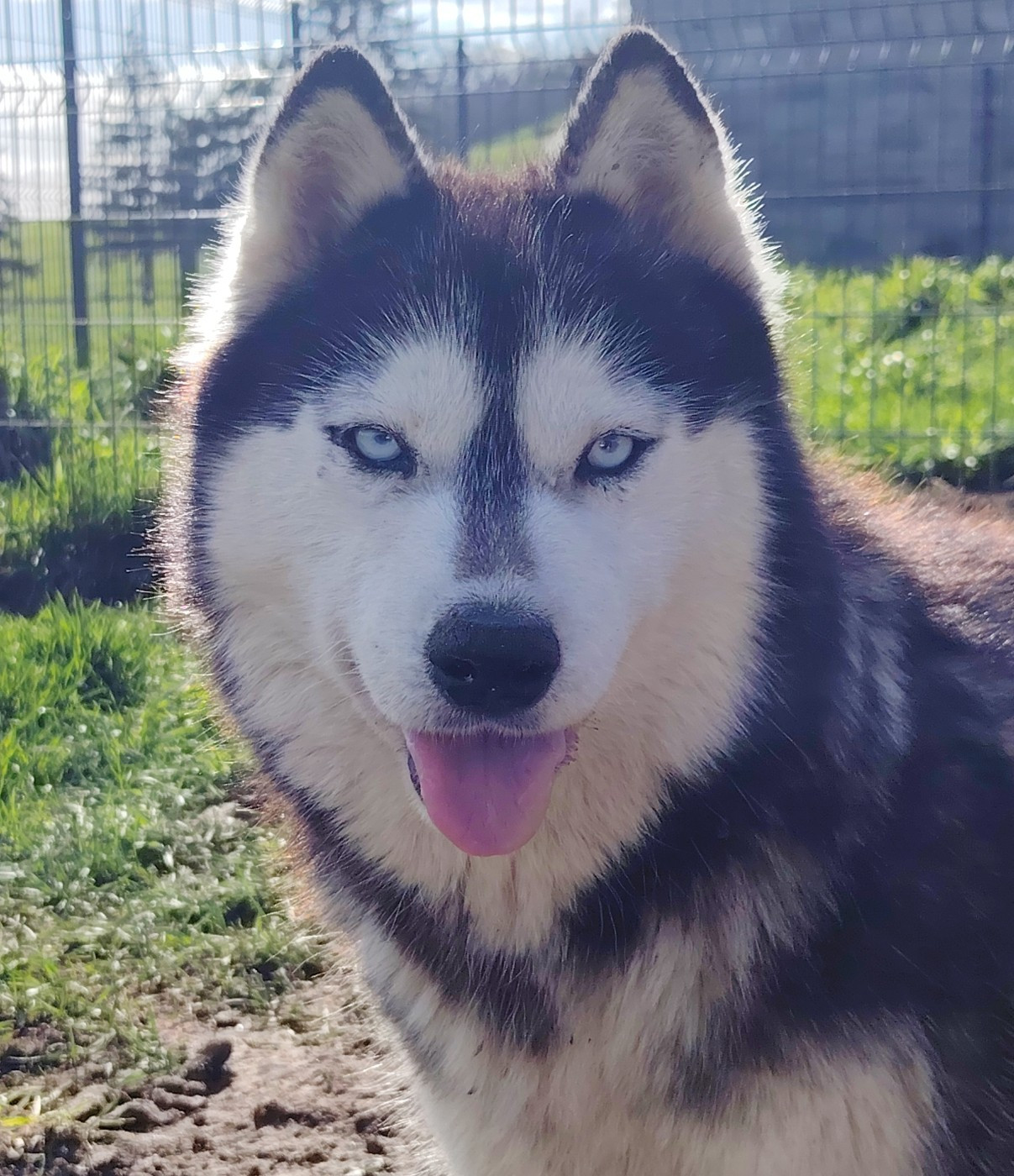 Out-of Control "OTAKE" des reves de neige